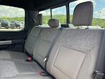 New 2025 Ford F-150 XLT SuperCrew Cab for sale #25DF061 - photo 13