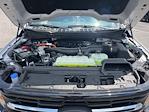 New 2025 Ford F-150 XLT SuperCrew Cab for sale #25DF061 - photo 34