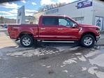 New 2025 Ford F-150 XLT SuperCrew Cab for sale #25DF076 - photo 9