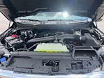 2025 Ford F-150 SuperCrew Cab 4x4 Pickup for sale #25DF182 - photo 33