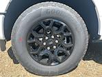 New 2025 Ford F-150 XLT SuperCrew Cab for sale #25DF226 - photo 11