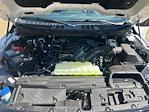 New 2025 Ford F-150 XLT SuperCrew Cab for sale #25DF226 - photo 33