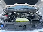 2025 Ford F-150 SuperCrew Cab 4x4 Pickup for sale #25DF252 - photo 32