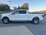 2025 Ford F-150 SuperCrew Cab 4x4 Pickup for sale #25DF252 - photo 6