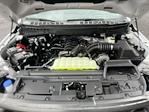 New 2025 Ford F-150 Tremor SuperCrew Cab for sale #25DF293 - photo 18