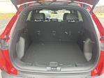 New 2026 Ford Escape ST-Line for sale #26DF015 - photo 18