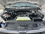 New 2026 Ford F-150 STX SuperCrew Cab for sale #26DF045 - photo 17