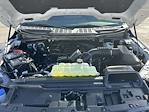 New 2026 Ford F-150 XLT SuperCrew Cab for sale #26DF053 - photo 17