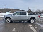 Used 2025 Ford F-150 XLT SuperCrew Cab for sale #3130DFR - photo 6