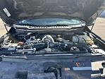 2025 Ford F-250 Crew Cab 4WD Pickup for sale #3197DFR - photo 6