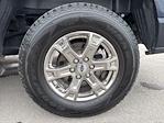 2021 Ford F-150 SuperCrew Cab 4WD Pickup for sale #FN244A - photo 25