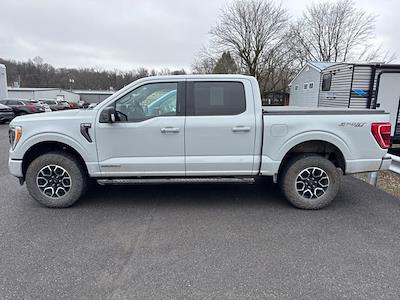 Used 2023 Ford F-150 - photo 1