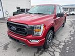 2021 Ford F-150 SuperCrew Cab 4WD Pickup for sale #FN378A - photo 8