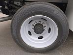 2025 Ford F-550 Regular Cab DRW 4WD Scelzi Contractor Truck for sale #SDA19123 - photo 21