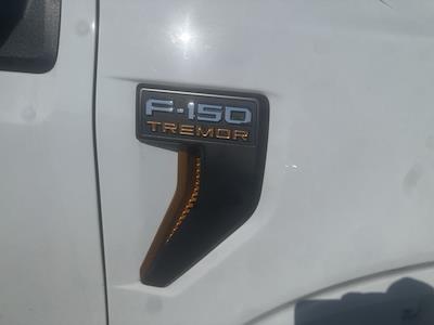 Used 2023 Ford F-150 - photo 1