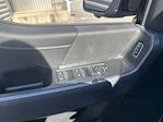 New 2025 Ford F-150 XLT SuperCrew Cab for sale #SFB89525 - photo 13