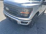 New 2025 Ford F-150 XLT SuperCrew Cab for sale #SFB89525 - photo 9