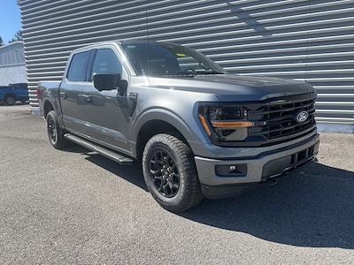 New 2025 Ford F-150 - photo 1