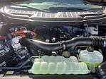 New 2025 Ford F-150 XLT SuperCrew Cab for sale #SFC10509 - photo 36