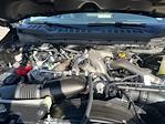 New 2026 Ford F-250 XL Crew Cab for sale #TEC41209 - photo 34