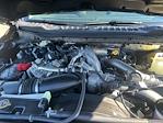 New 2026 Ford F-250 XL Crew Cab for sale #TED23013 - photo 34