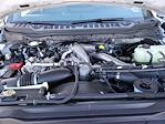 New 2026 Ford F-250 XLT Crew Cab for sale #TED25674 - photo 34