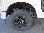 New 2026 Ford F-350 XL Regular Cab for sale #TED52912 - photo 10