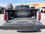 2024 Ford F-150 SuperCrew Cab 4WD Pickup for sale #LB40298B - photo 17