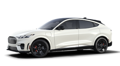 New 2025 Ford Mustang Mach-E - photo 1