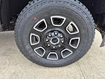 2024 Ford F-250 Crew Cab 4x4 Pickup for sale #C1162A - photo 9