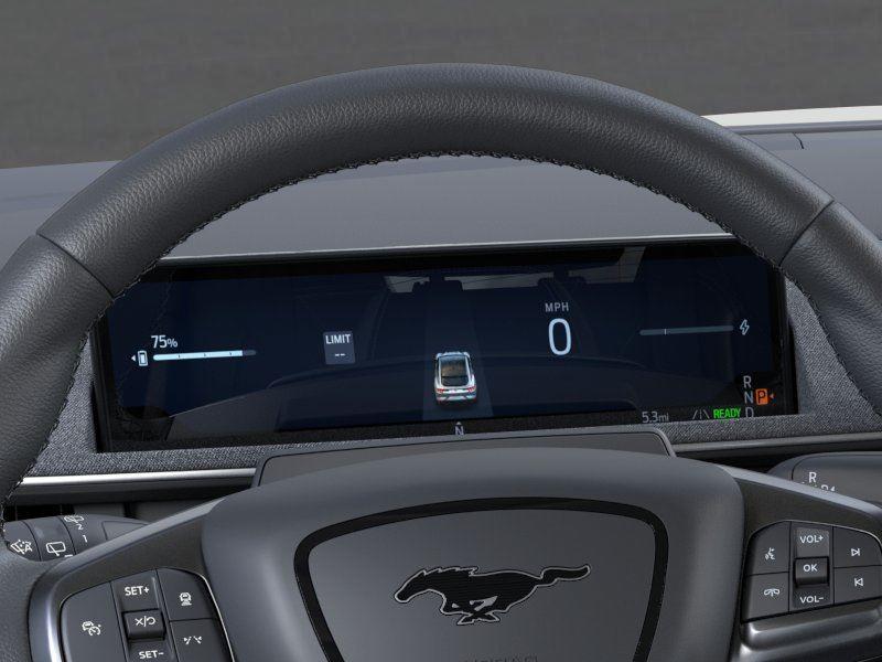 New 2026 Ford Mustang Mach-E - photo 15