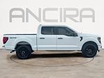 New 2026 Ford F-150 STX SuperCrew Cab for sale #AD41024 - photo 10