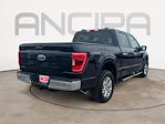 2023 Ford F-150 SuperCrew Cab 4WD Pickup for sale #DF002 - photo 9