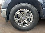 2023 Ford F-150 SuperCrew Cab 4WD Pickup for sale #DF002 - photo 23