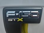 2025 Ford F-150 SuperCrew Cab 4WD Pickup for sale #ZE74418 - photo 6