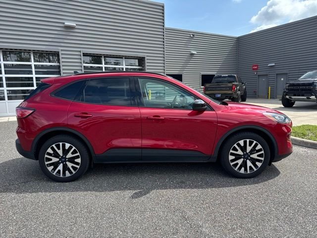 Used 2020 Ford Escape - photo 6