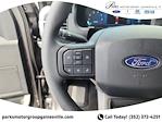 2025 Ford F-150 SuperCrew Cab 4x4 Pickup for sale #FO43422 - photo 25