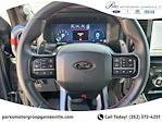 2025 Ford F-150 SuperCrew Cab 4x4 Pickup for sale #FO94343 - photo 22