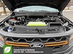New 2025 Ford F-150 Tremor SuperCrew Cab for sale #7C03696 - photo 42
