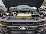 New 2025 Ford F-150 XLT SuperCrew Cab for sale #7C33472 - photo 37