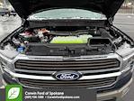 New 2025 Ford F-150 King Ranch SuperCrew Cab for sale #7C54625 - photo 41