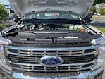 New 2025 Ford F-350 Regular Cab Cab Chassis for sale #7D79381 - photo 29