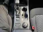 New 2025 Ford Ranger XLT SuperCrew Cab for sale #7E55559 - photo 30