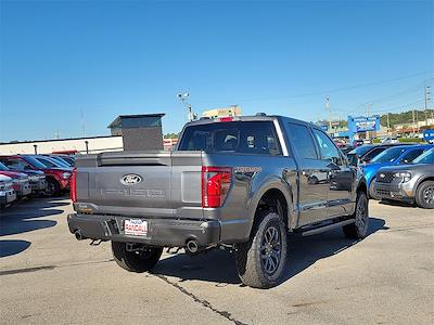 New 2025 Ford F-150 - photo 1