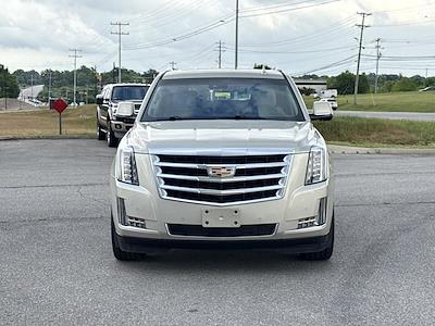 2016 Cadillac Escalade 4WD SUV for sale #F127669 - photo 1