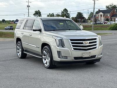 2016 Cadillac Escalade 4WD SUV for sale #F127669 - photo 2