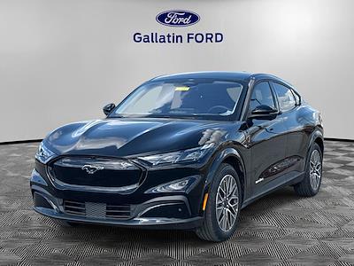 New 2026 Ford Mustang Mach-E - photo 1