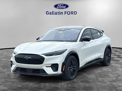 New 2025 Ford Mustang Mach-E - photo 1