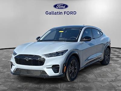 New 2025 Ford Mustang Mach-E - photo 1