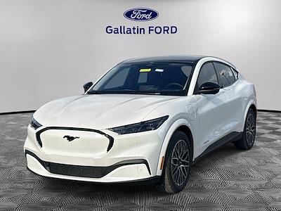 New 2025 Ford Mustang Mach-E - photo 1